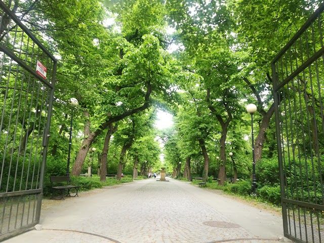 Park im. gen. Gustawa Orlicz-Dreszera